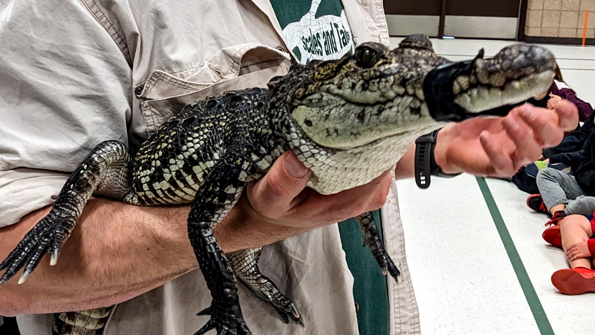 Man holding alligator.